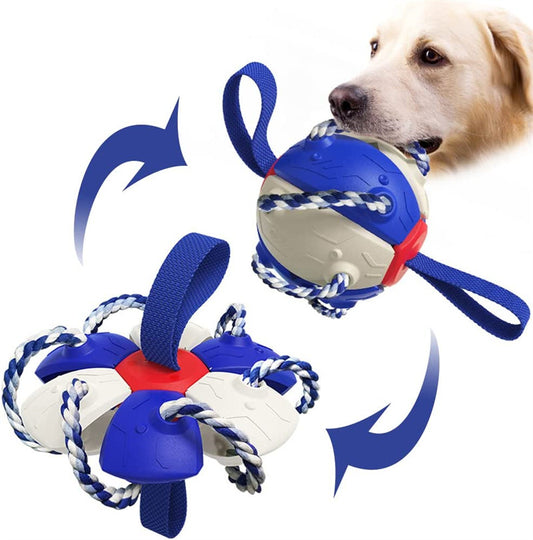 Inflated Training Dog Toy