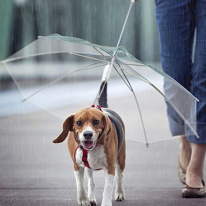 Dog Leash Umbrella